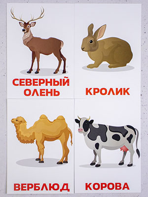 Карточки животные